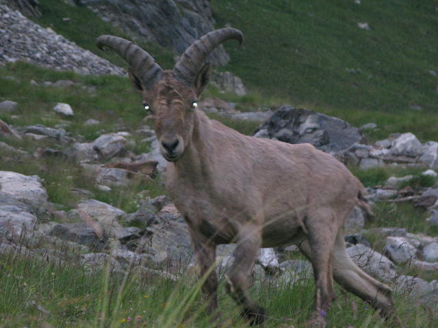 Безенги 2012 299