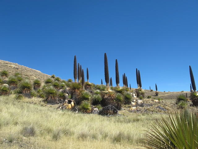 IMG 0035