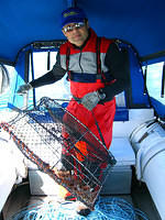 Shrimping in Resurrection bay, Alaska